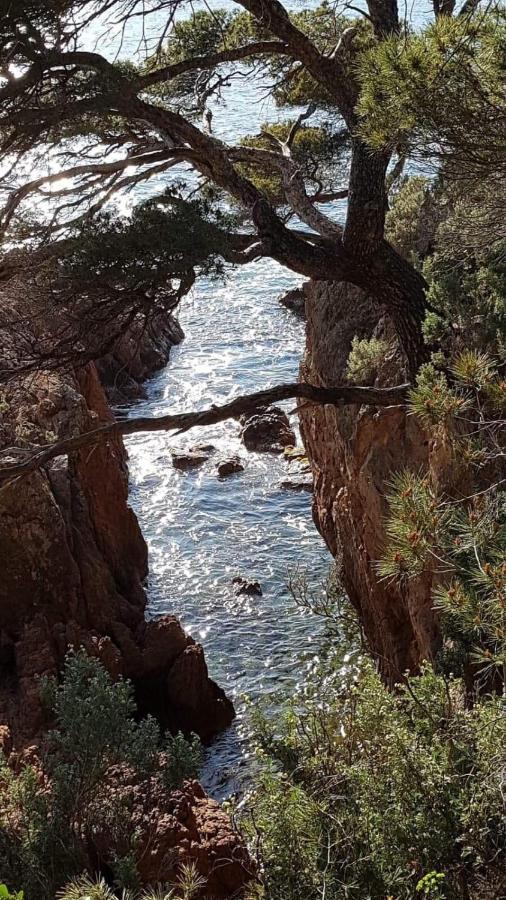Saint Raphael, Cap Esterel Le Hameau. Vue Mer 외부 사진